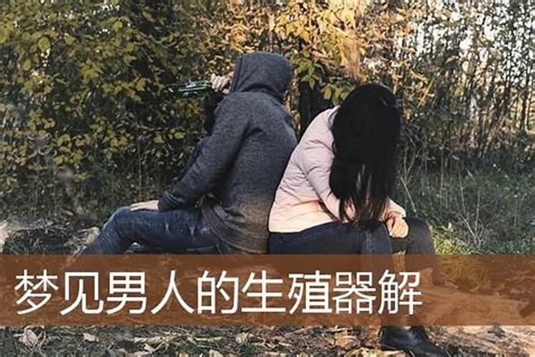 梦见看到男性的生殖