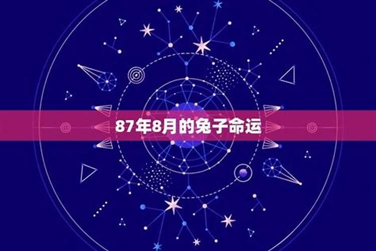 87年农历8月的兔子命运