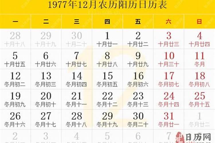 1977年农历12月18出生运程