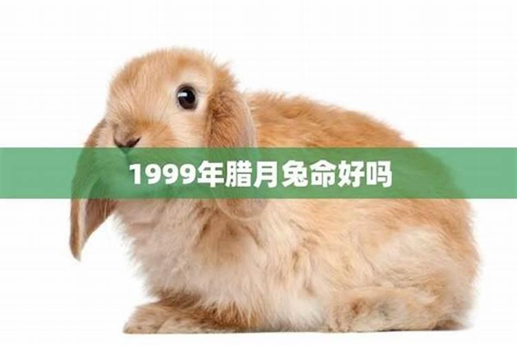 2023年属鸡人的全年运势男性1993