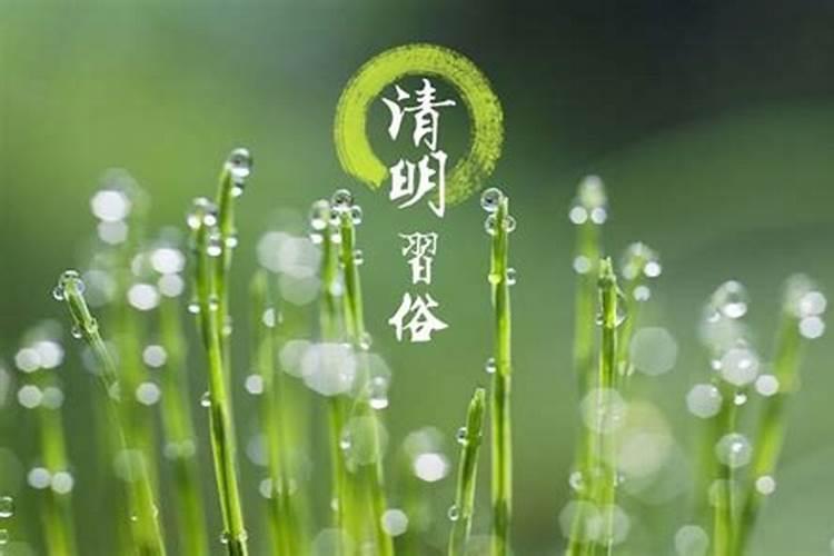 高平清明节风俗