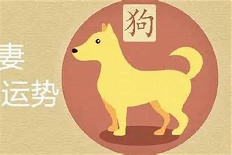 属牛在狗年犯太岁吗