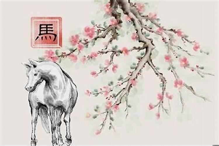 属马的今年适合做什么生意