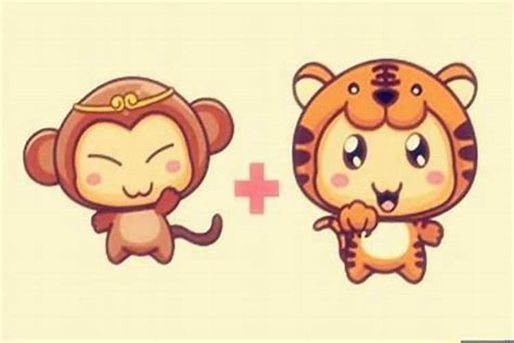 虎与猴的婚姻