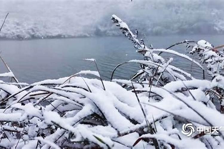 梦见下大雪是什么预兆解梦