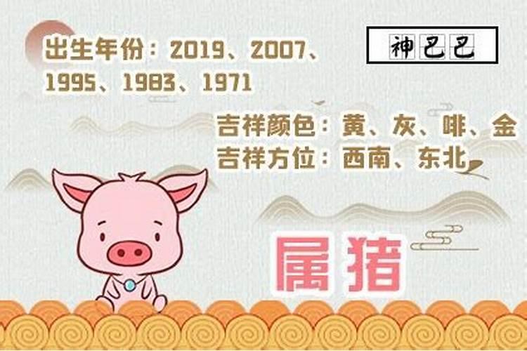 2007年属猪2022年学业幸运色
