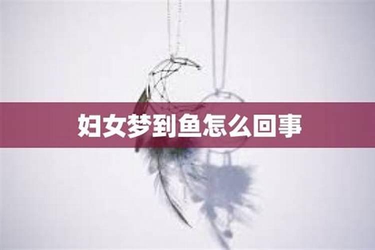 做梦梦见吃鱼怎么回事