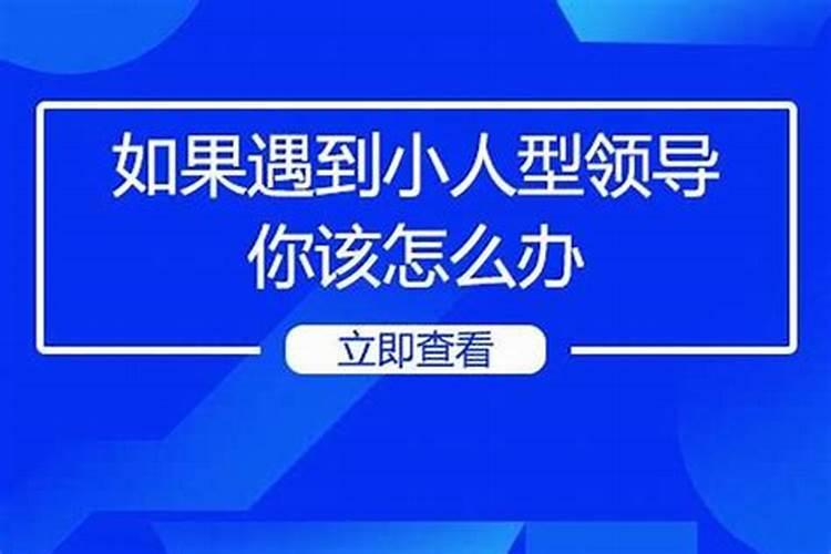 男属虎今年婚姻运程如何