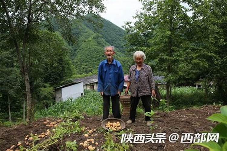 梦见和死人一起挖土