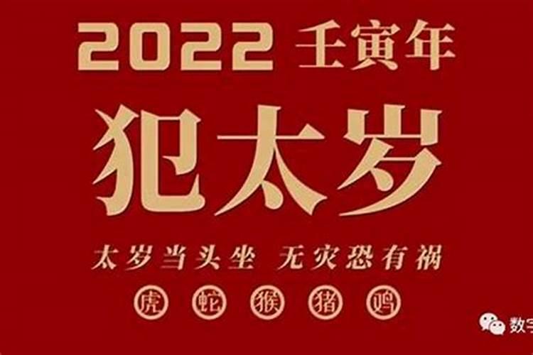 属猴女运势2023年运势详解