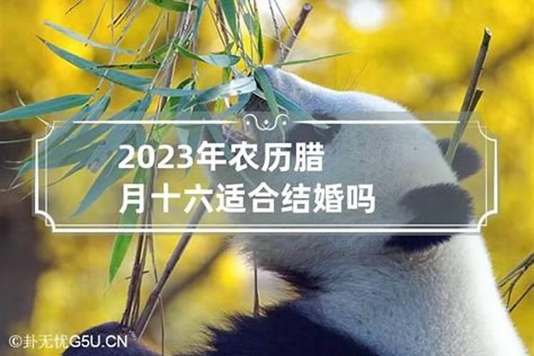 2023年农历腊月十二日