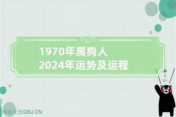 属羊人2024年运程感情