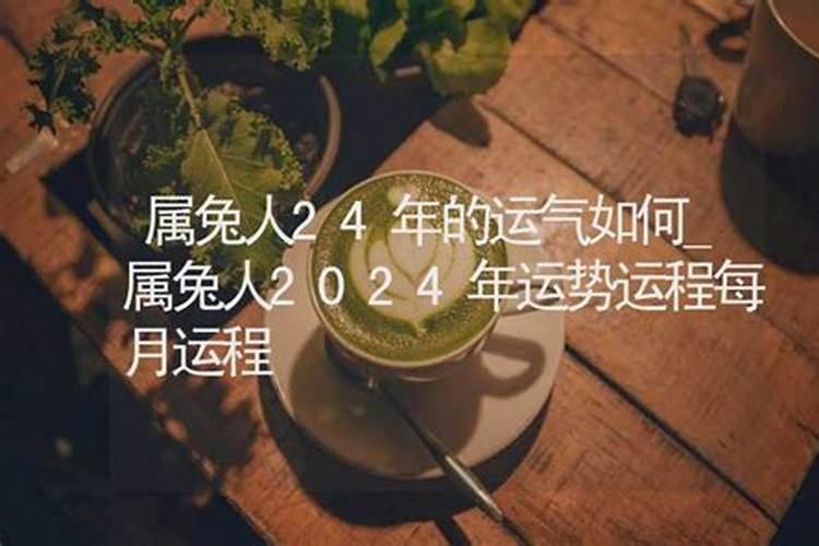 属兔十月初一是什么命格