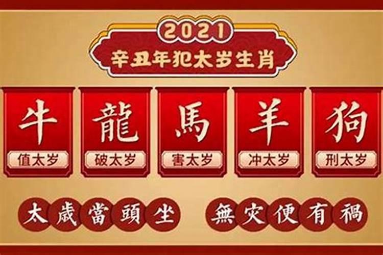 2023兔宝宝命运