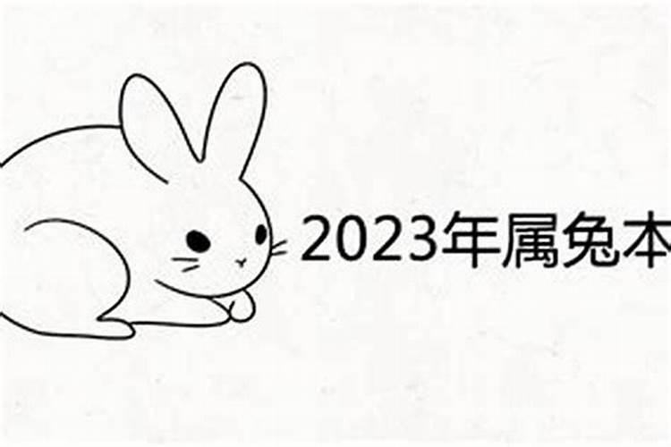 属兔的在2023的运势如何