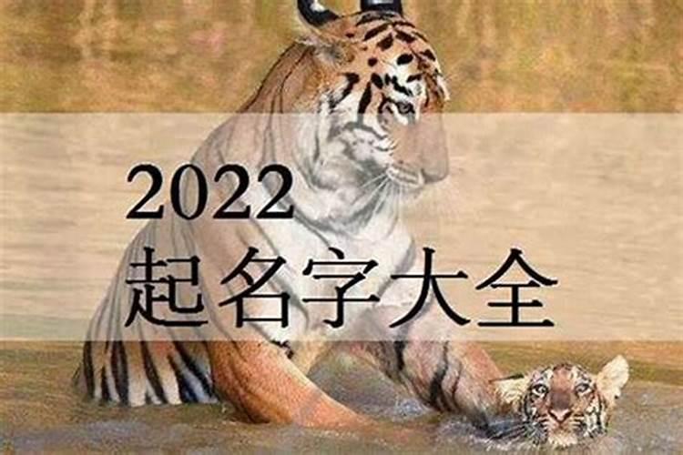 86年属虎人2022年下半年运势