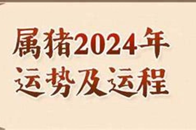 女命生肖兔2024年运程