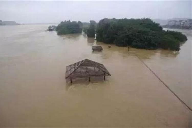 梦见暴雨把房子淹了