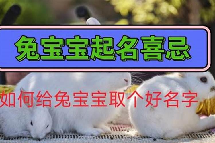 属兔取名字带有三点水好不好