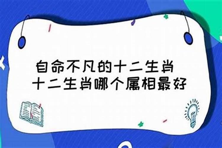 十一月份运势最好生肖是什么属相