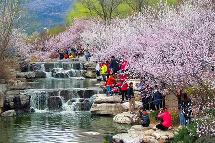 山西清明节去哪里玩比较好