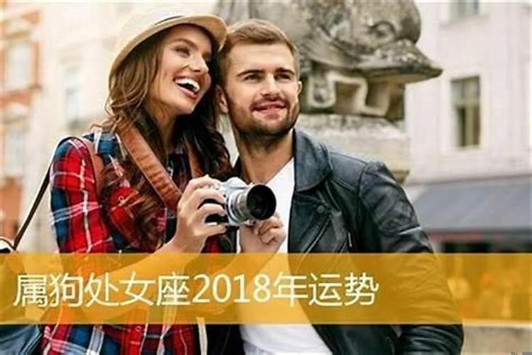 属狗人鼠年运势2021运势详解一下