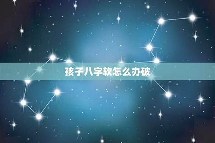 2024年12月属狗感情运势如何