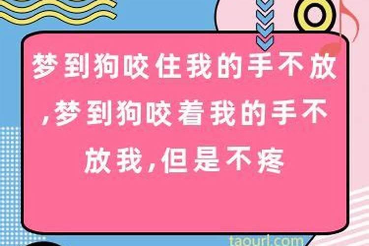 梦见大狗咬住我的手不放没有出血