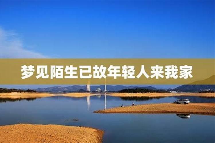 属兔的12月份的运势2023年运势怎么样