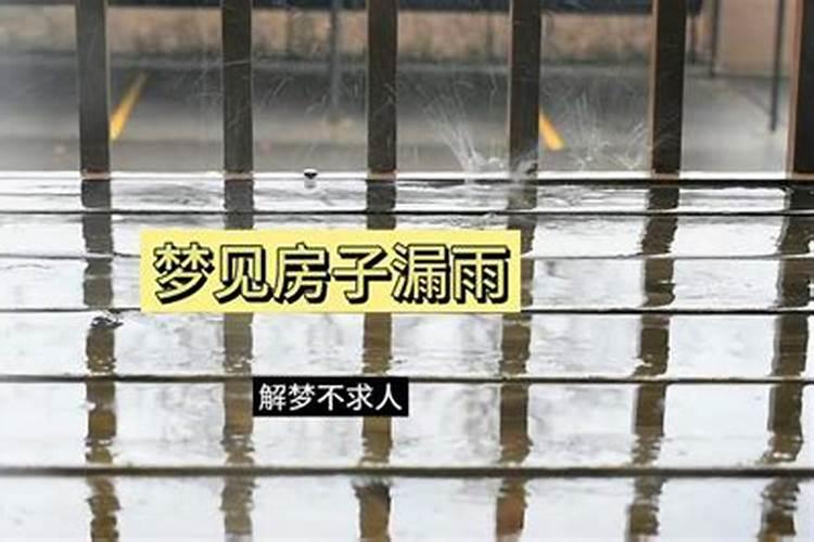 梦见房子漏雨什么征兆