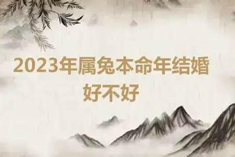 属兔在兔年结婚好不好