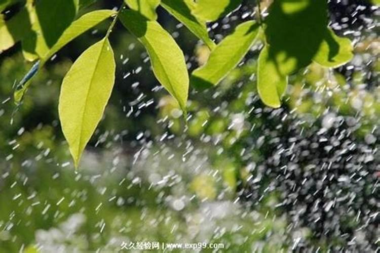 做法事前下大雨了