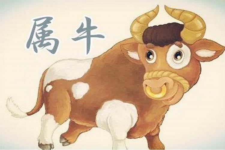 三月十五号适合干什么