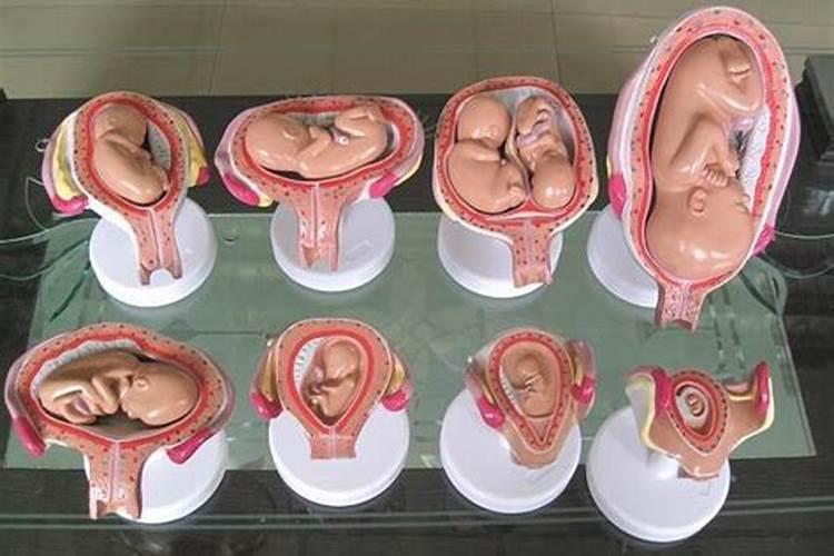 胎儿流产后是否需要做法事