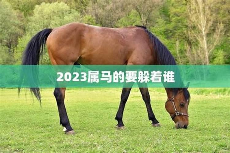 属马在2024年犯太岁吗