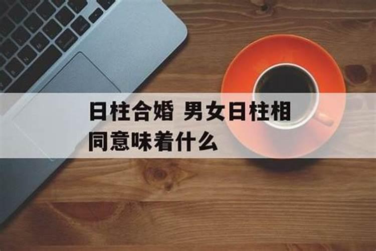 合婚中的日支代表什么