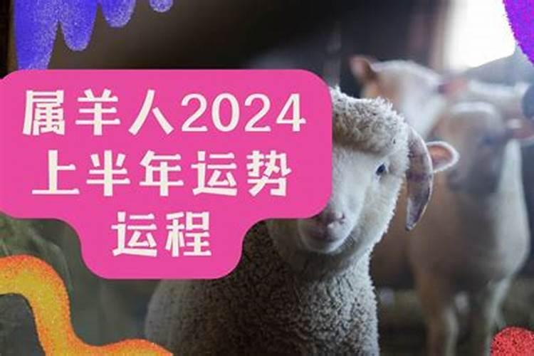 87年11月属兔的2024年运势如何