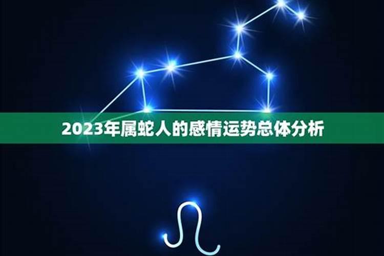 属蛇的今年感情运势怎么样