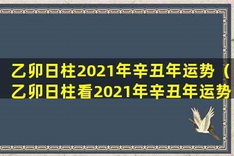 乙卯年出生男遇辛丑年运势