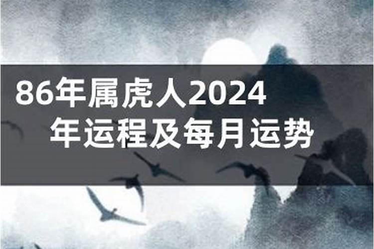 猴年运势2024运势如何