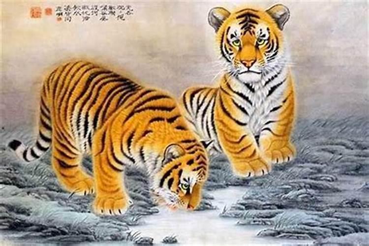 1974年出生的虎的运势