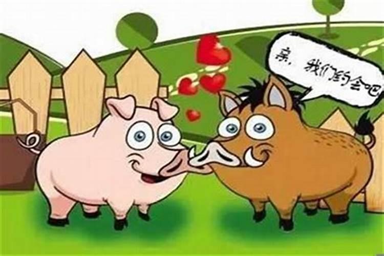 牛和属猪相配婚姻如何