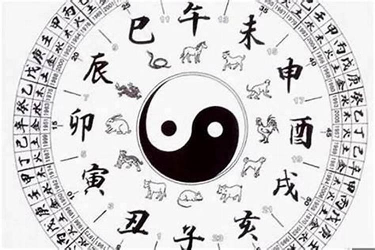 属马今年的幸运数字是多少