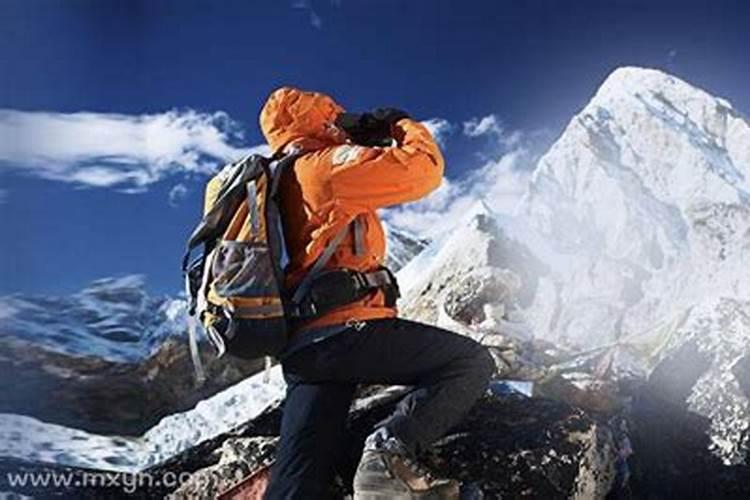 梦见爬山，山上很多青树什么意思