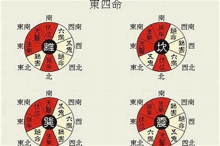 99年兔什么时候是本命年兔宝宝好