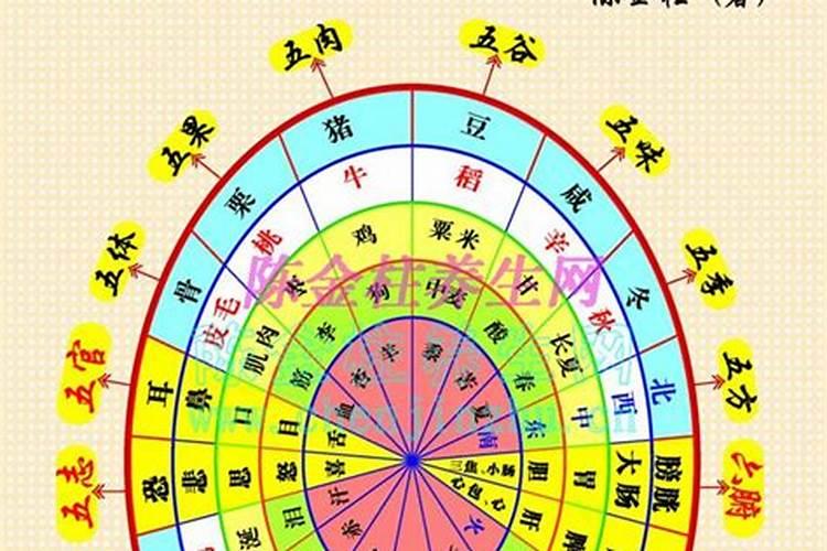 八字中初五与初二合吗