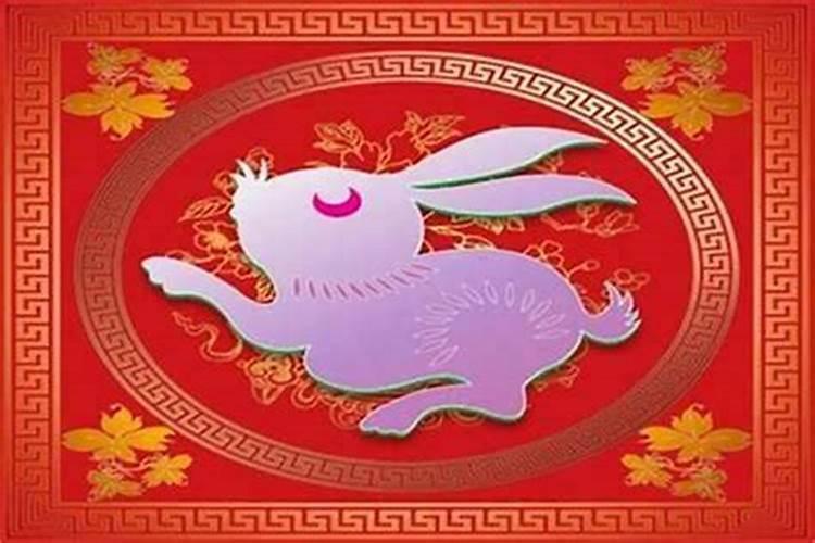 属兔的今年结婚犯太岁吗