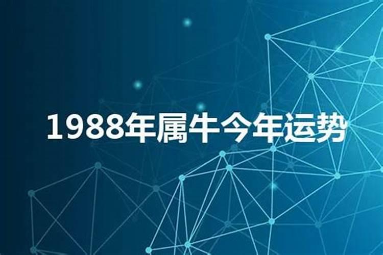 1988年人今年运势