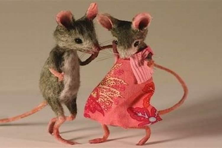 属鼠男和属鼠女能婚配吗