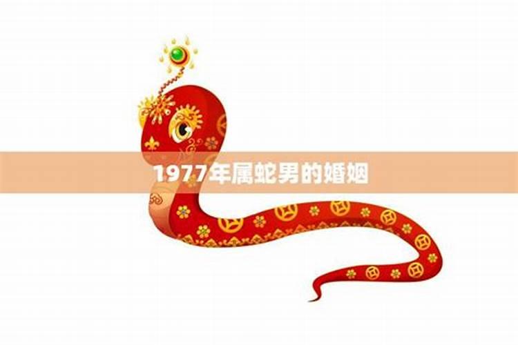 属蛇的2022年还有婚姻